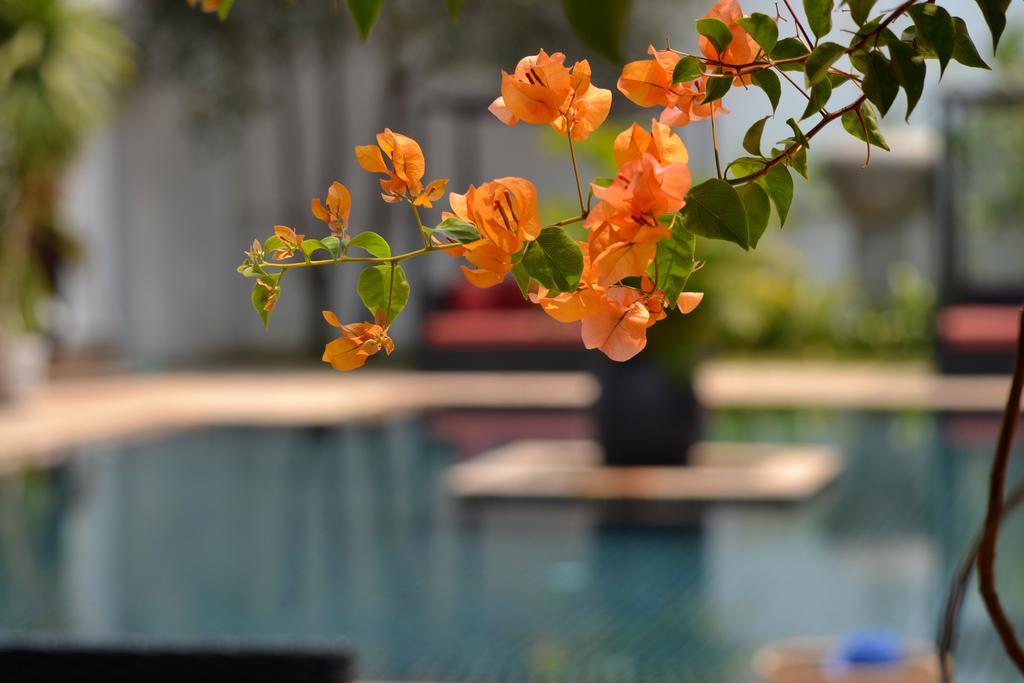 Eureka Villas Siem Reap Dış mekan fotoğraf